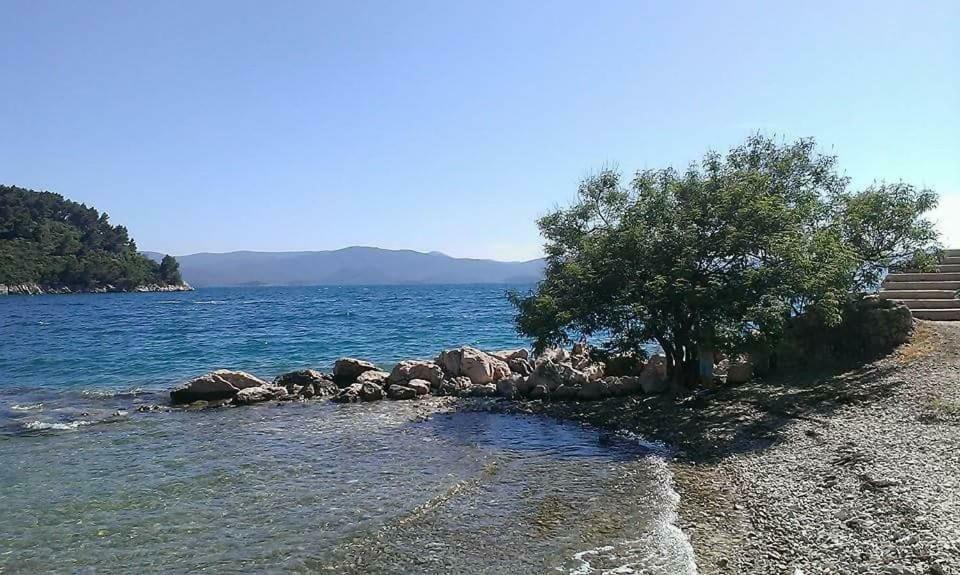 Apartmani Kremena Small Beach 200M Klek Exterior foto